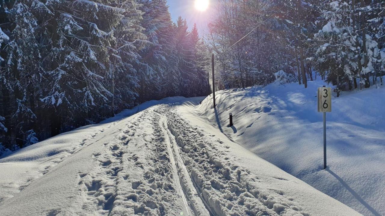 Апартаменты Waldhufenidyll Koenigswalde Im Erzgebirge Konigswalde Экстерьер фото